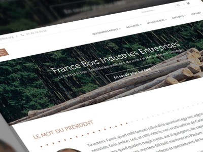 Mise en ligne du site Internet de FBIE – France Bois Industries Entreprises