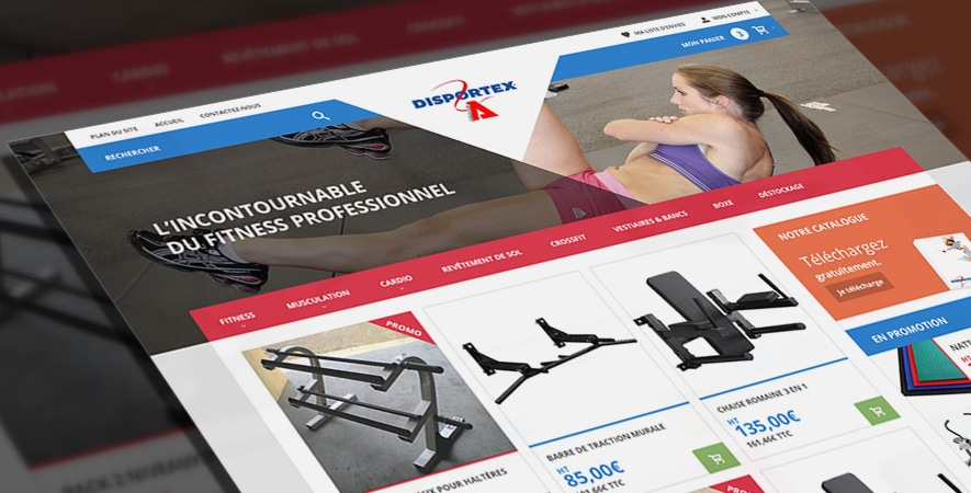site e-commerce www.dispotex.fr sur CMS magento disportex-magento-refonte-responsive
