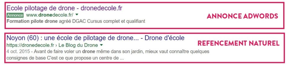 annonce AdWords et résultat naturel sur la requête formation pilotage de drone référencement internet annonce AdWords - formation pilotage de drone