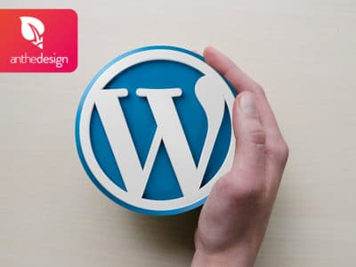 Toujours plus de fonctionnalités sur WordPress