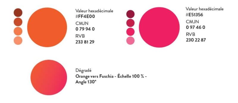 Palette chromatique charte logo couleurs logo