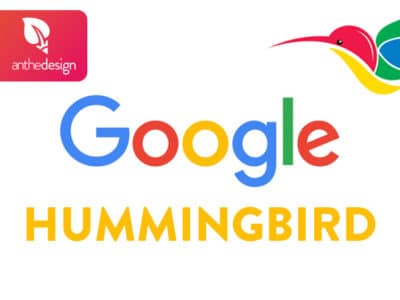 Google Hummingbird : un critère de référencement naturel à ne pas ignorer