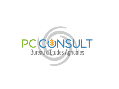 Création d’un logo sur mesure pour PC Consult