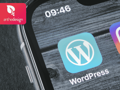 Pourquoi faire appel à une agence WordPress ?