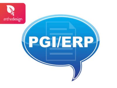Progiciel de Gestion Intégrée : qu’est-ce que c’est ?