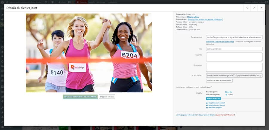 ALT tag (ALT attribute) and SEO: explanations! 3 example of an ALT tag with the content media an seo agency