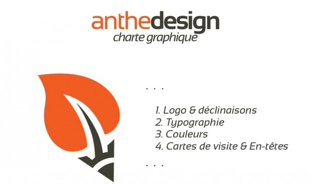 extrait charte graphique agence web anthedesign