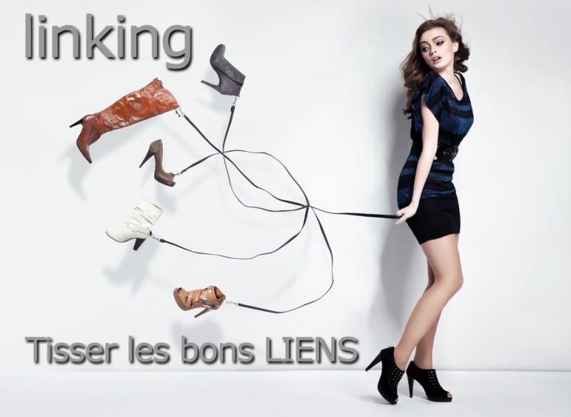 linking-cible-maillage