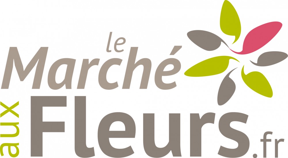Création d'un logo pour le fleuriste le Marché aux Fleurs, une réalisation AntheDesign