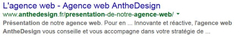 url-presentation-de-lagence-web-anthedesign-indexee