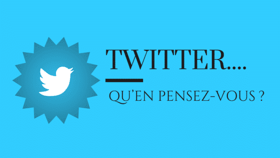 Le guide twitter