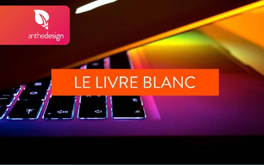 livre blanc