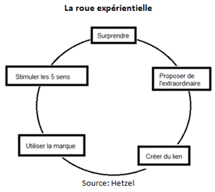 Roue experientielle selon Hetzel