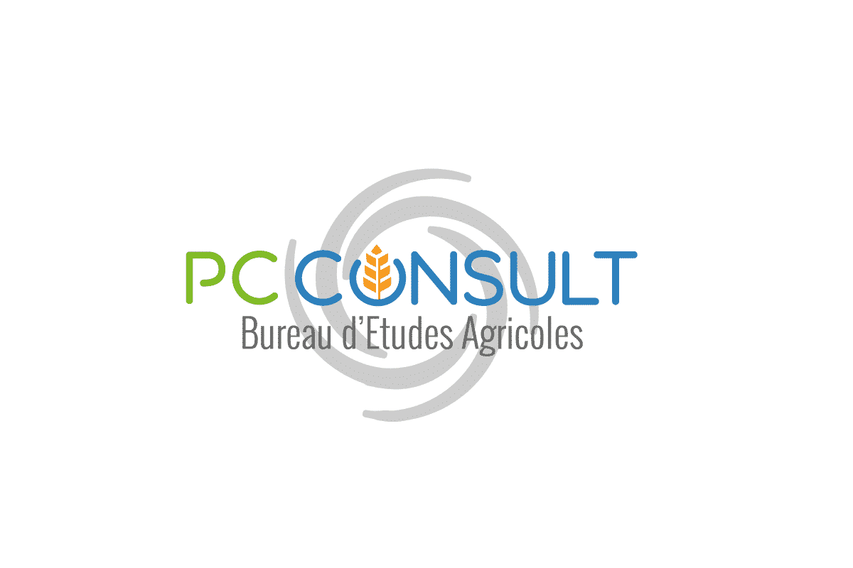 logo PC Consult