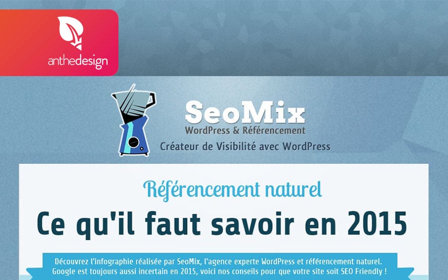 Infographie SEO 2015 SEOMix