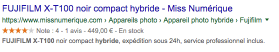 affichage fiche produit dans le search de Google