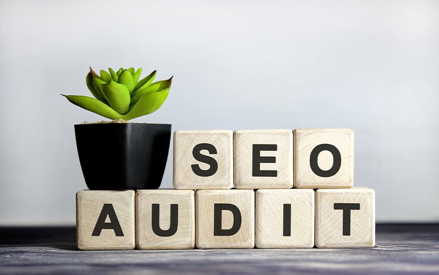 audit