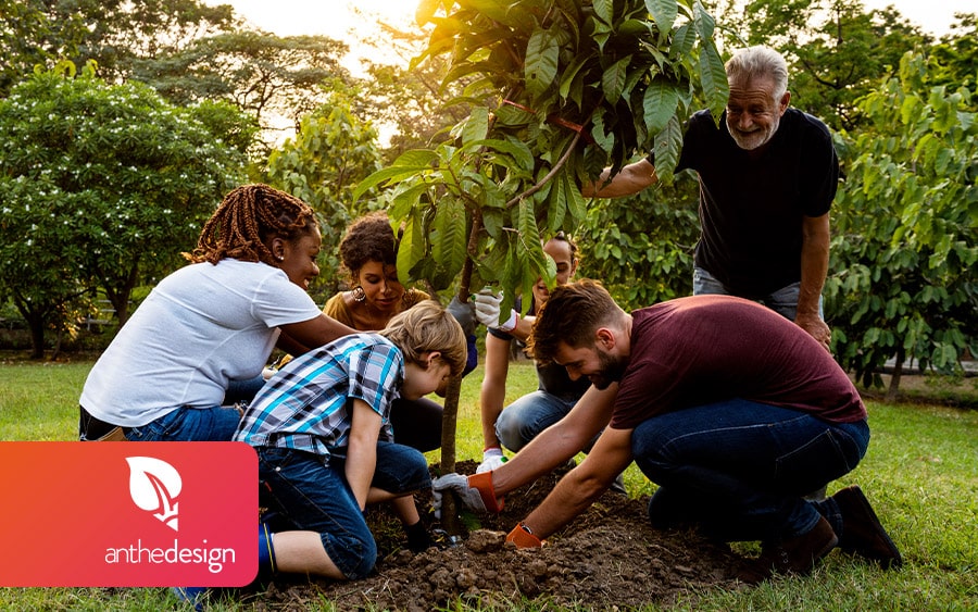 le seo plant arbre fruitier